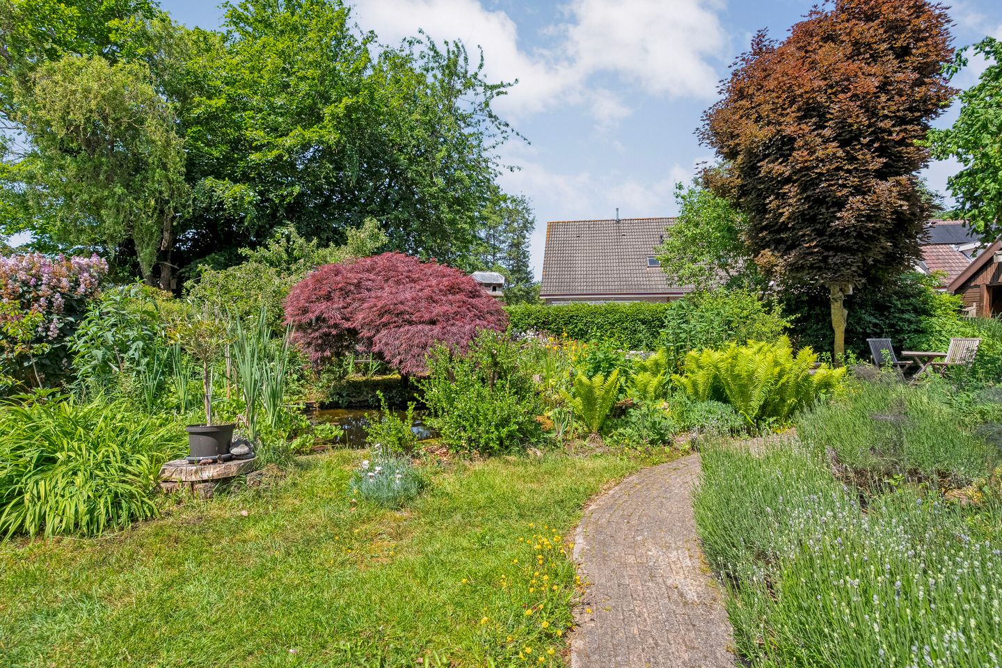 Photo 40 of De Berken 33