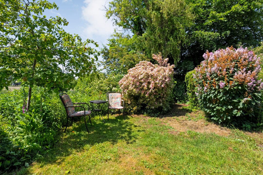 Photo 38 of De Berken 33