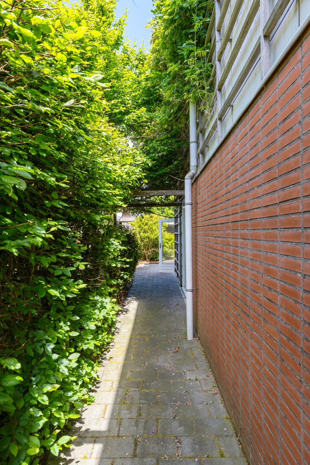 Foto 11 van Daniël Ruynemanlaan 6