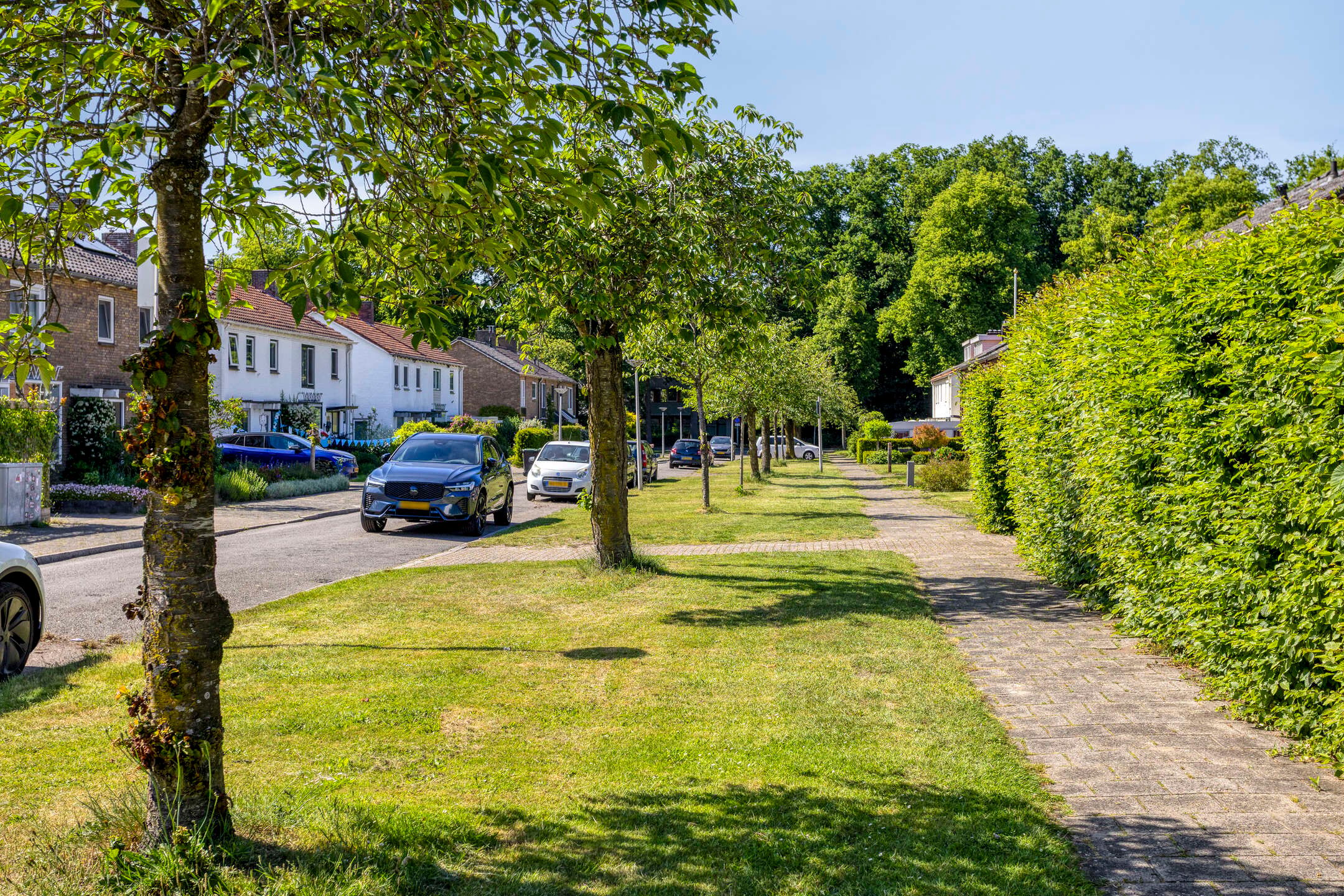 Photo 39 of Dr. Nolensstraat 6