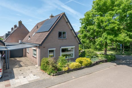 Korenbloemstraat thumbnail