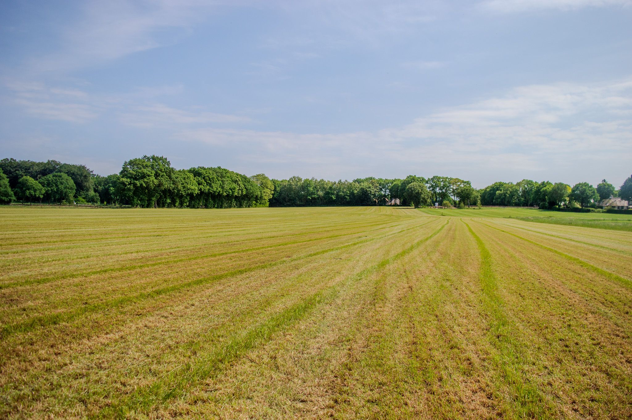 studio freehold villa in Lunteren — photo 2 of 5