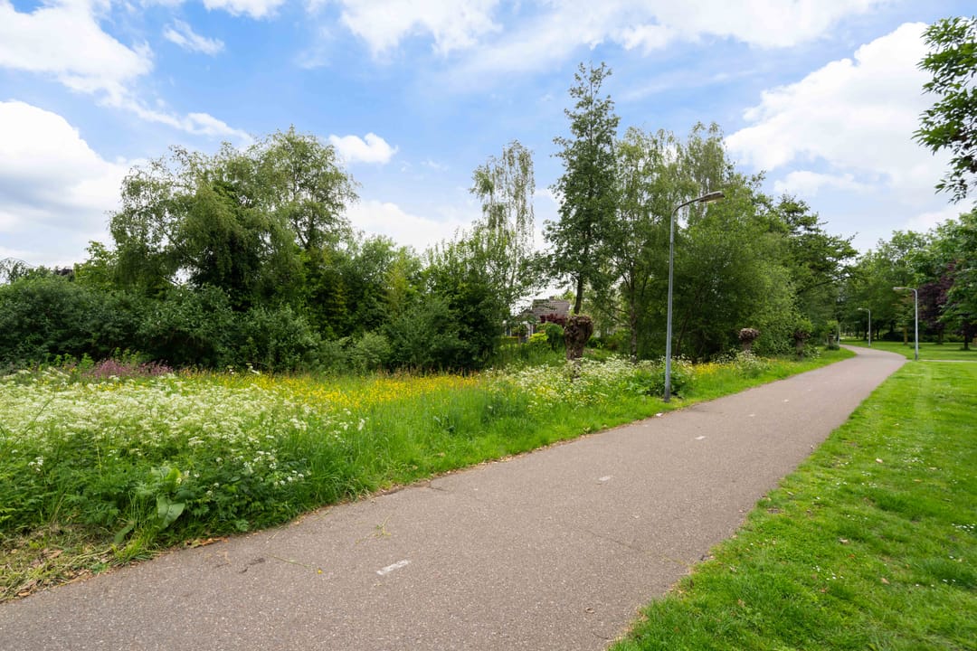 Photo 62 of Korenmolen 38