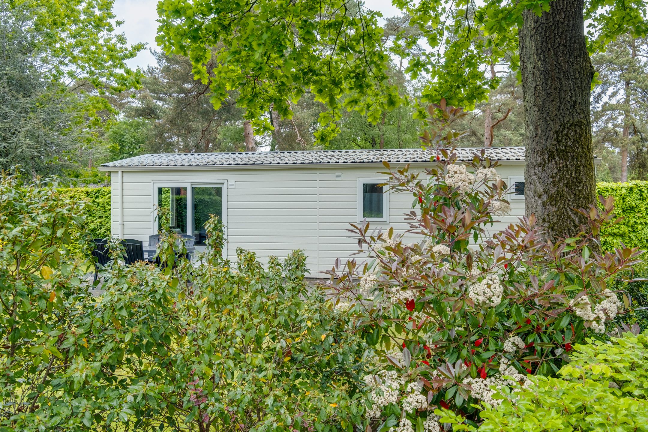 2-bedroom freehold villa in Lochem — photo 4 of 5