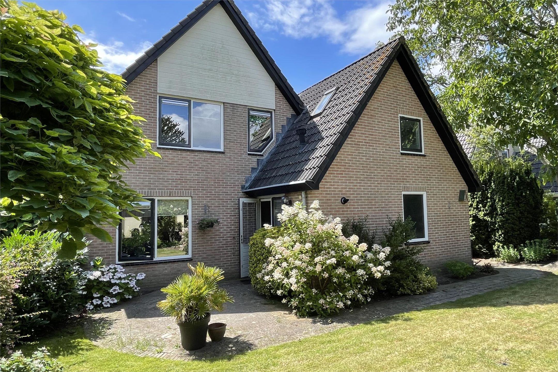 Schoener 44 7 