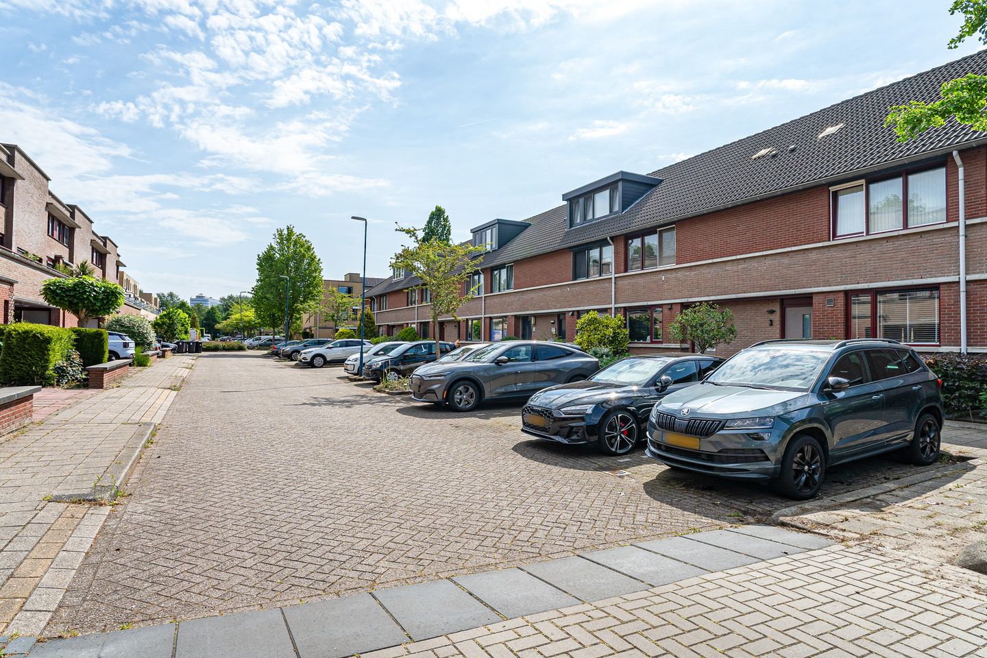 Foto 10 van Wengéhout 3
