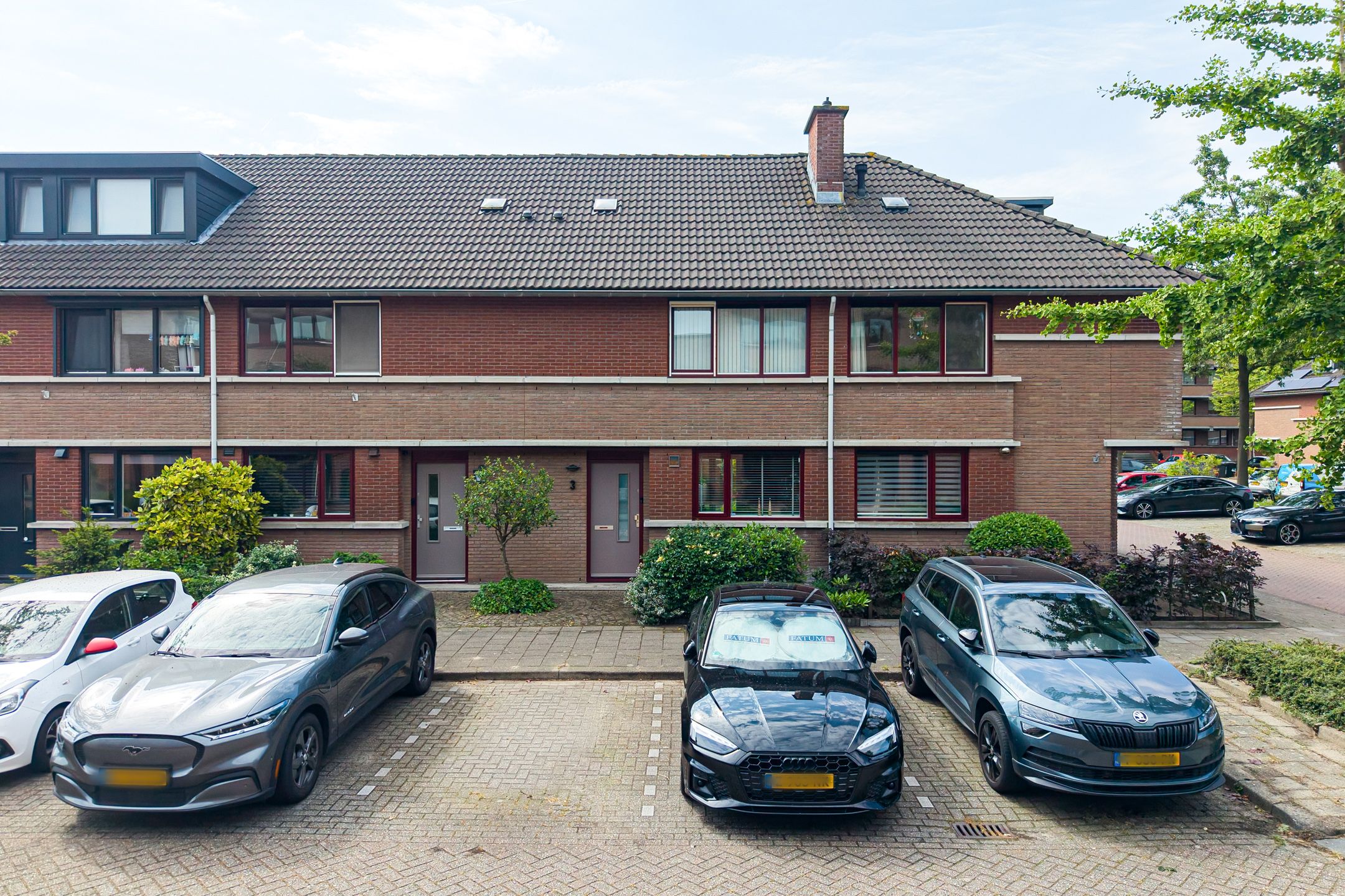 Wengéhout 3 