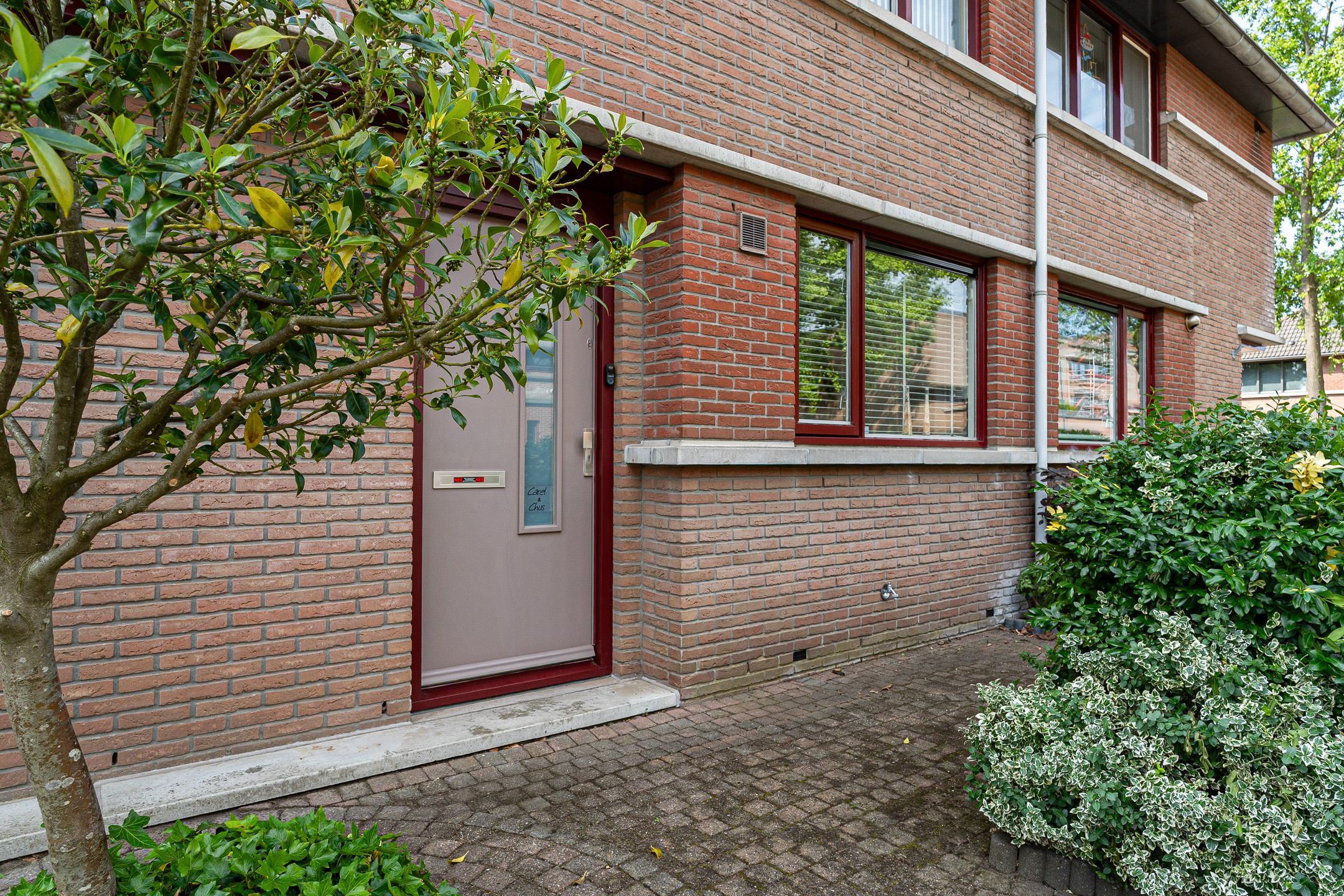 Foto 12 van Wengéhout 3