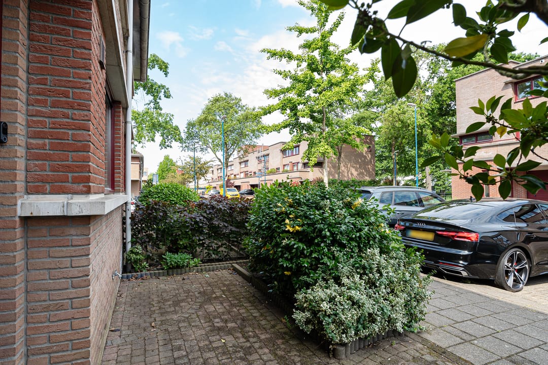 Foto 11 van Wengéhout 3
