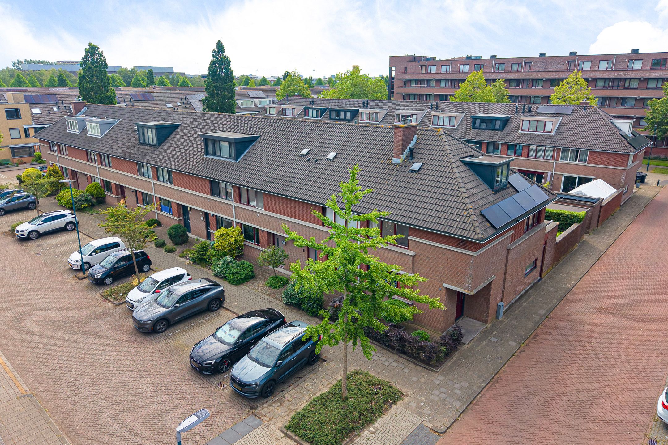 Foto 6 van Wengéhout 3