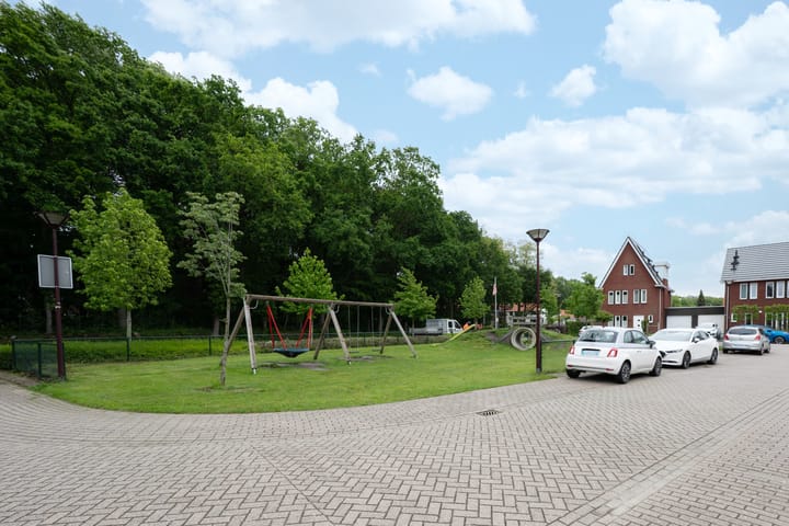 Foto 4 van Steenuil 4