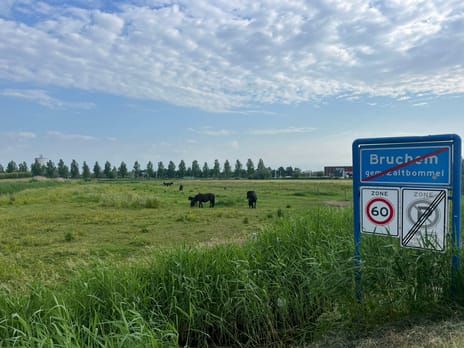 Bekijk foto's