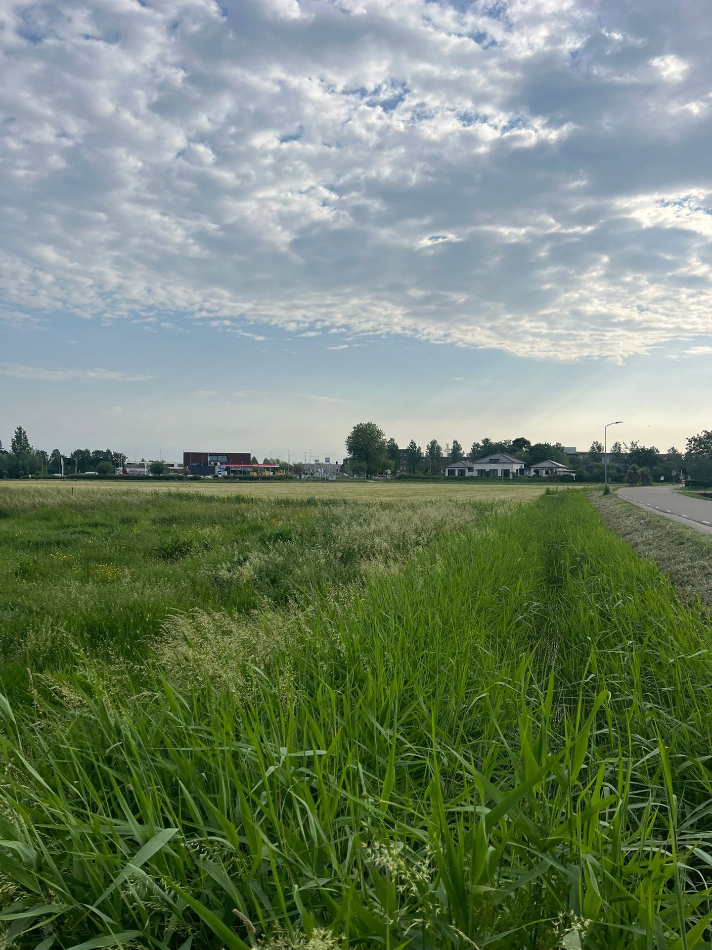 Bekijk foto 5 van Krangstraat