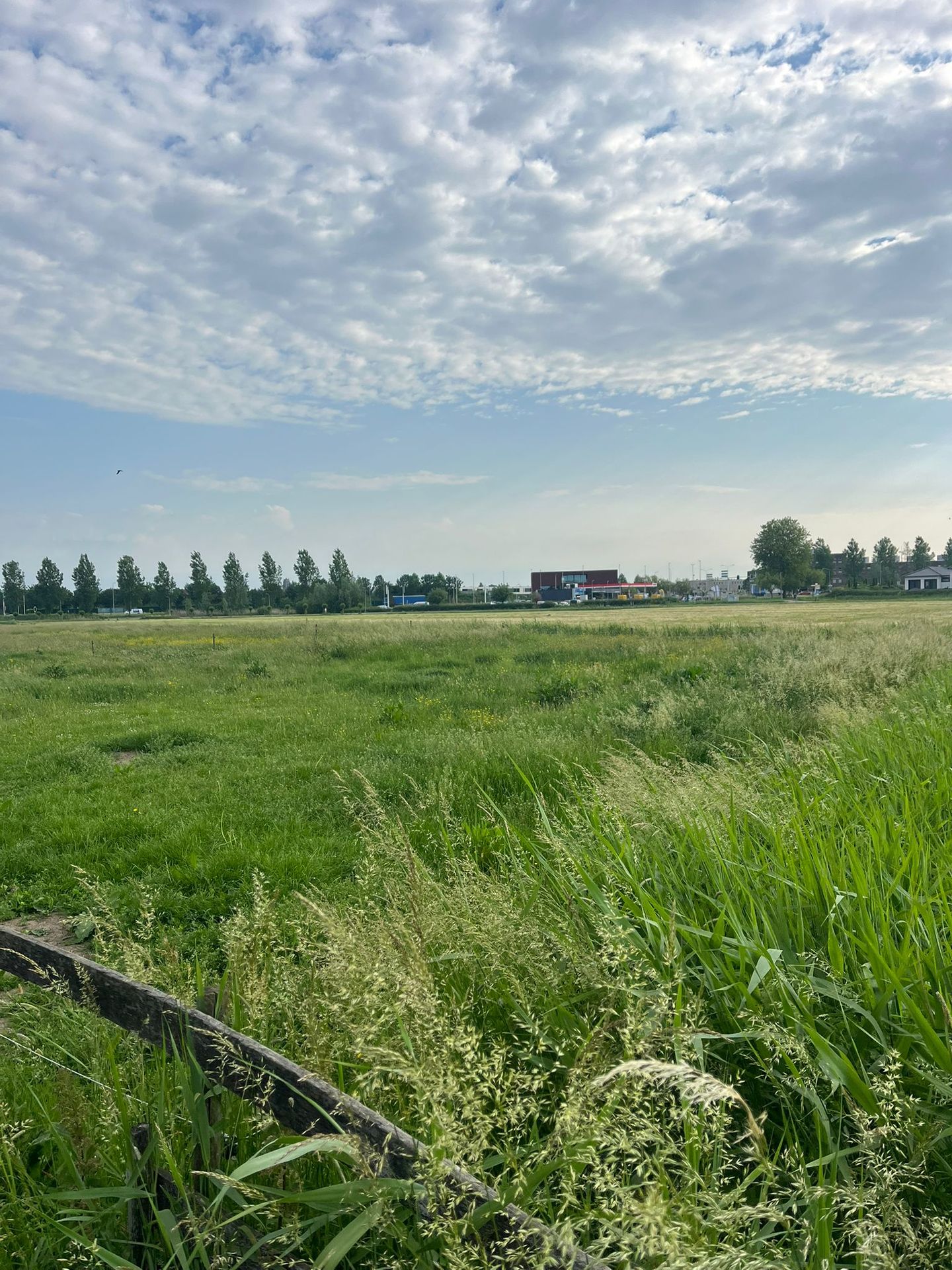 Bekijk foto 4 van Krangstraat