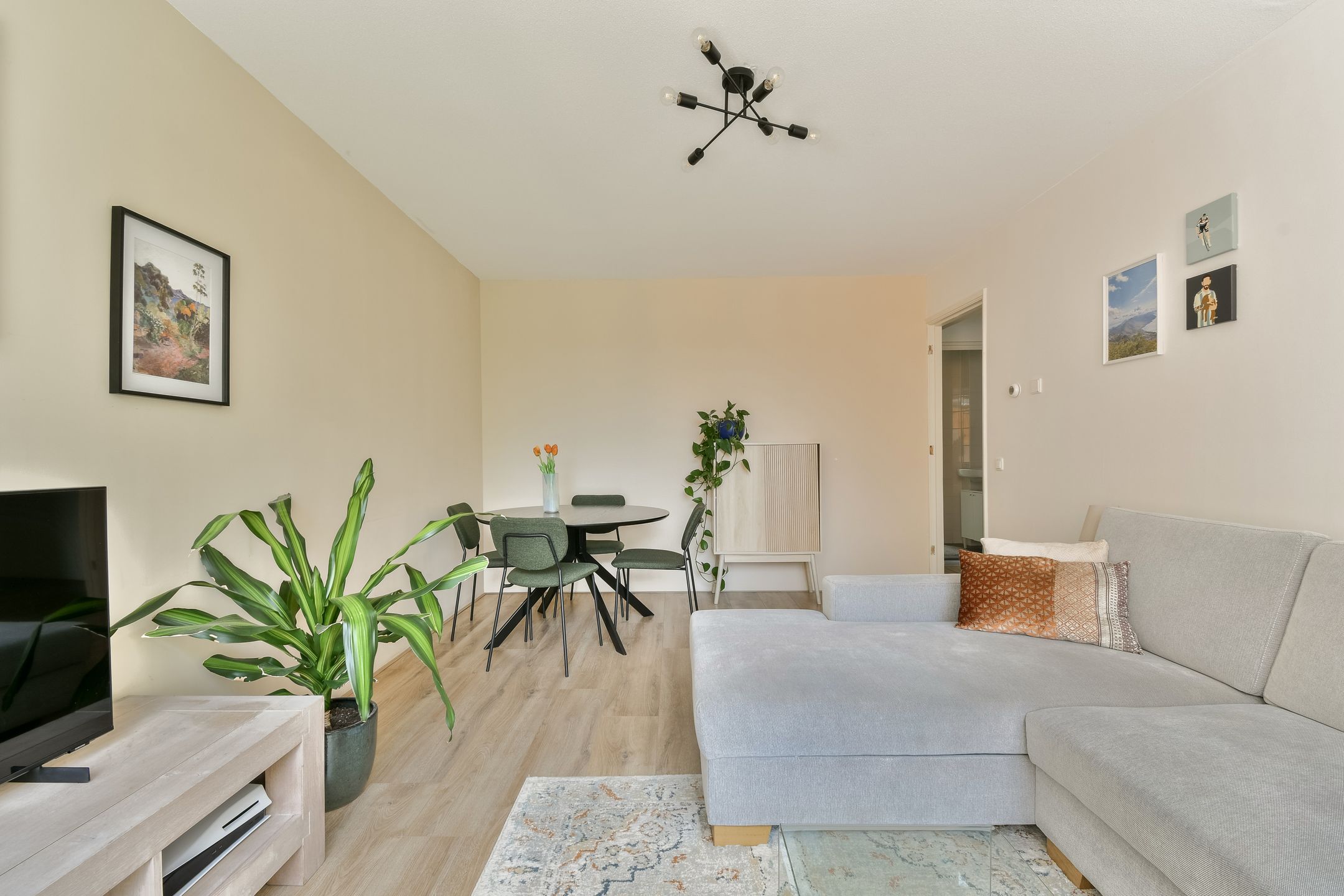 Elisabeth Boddaertstraat 24- 24 3