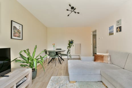 Elisabeth Boddaertstraat thumbnail