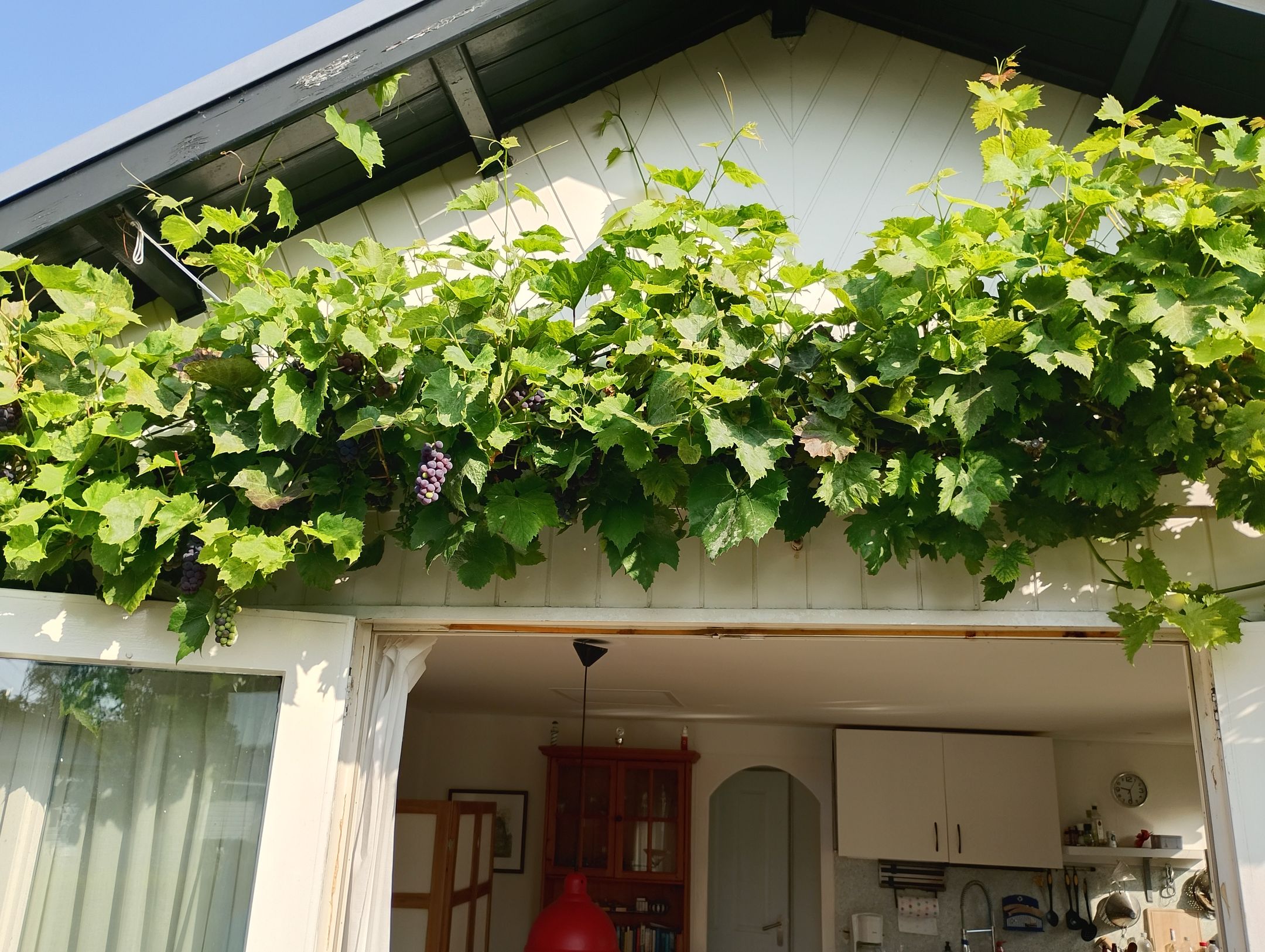 1-bedroom freehold villa in Oostvoorne — photo 2 of 5
