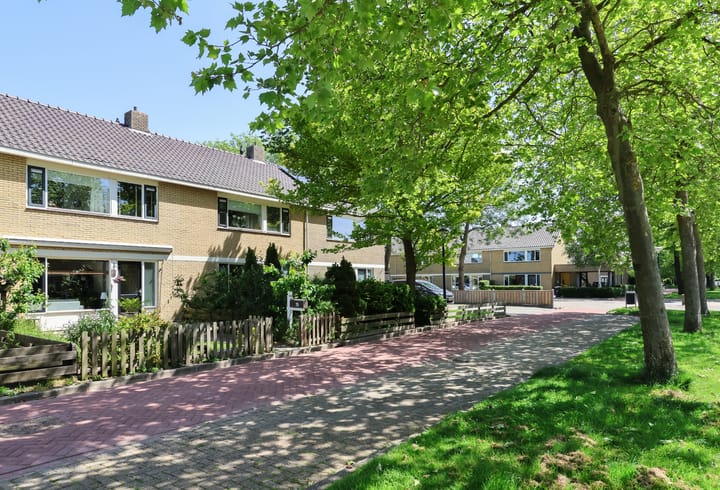 Foto 2 van F. Domela Nieuwenhuisstraat 75