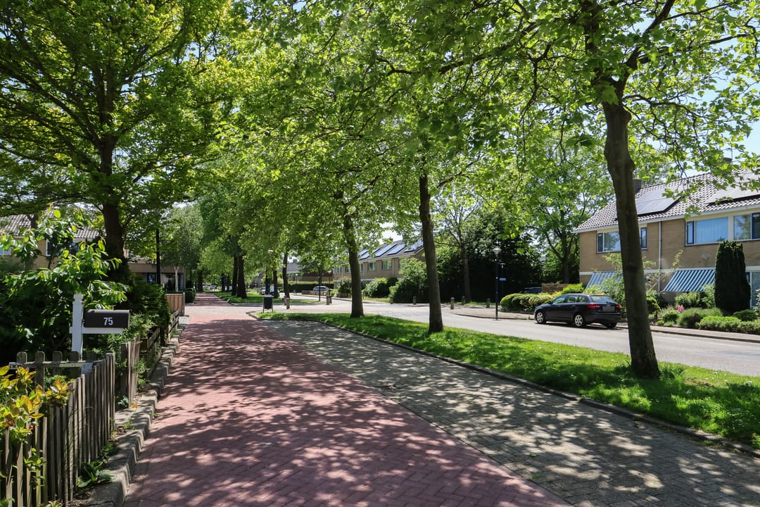 Foto 52 van F. Domela Nieuwenhuisstraat 75