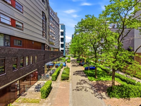 Carnapstraat thumbnail
