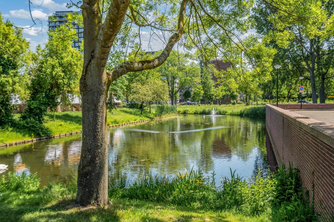 Foto 47 van Dalenbeek 2