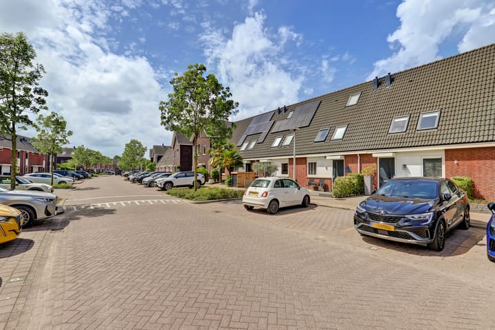 Foto 2 van Steur 51