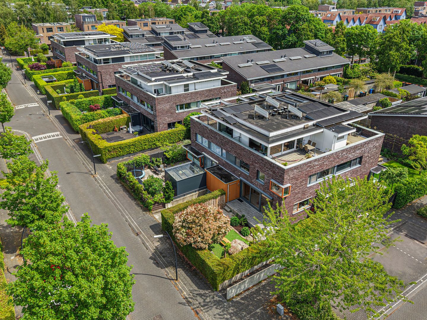 Foto 10 van Goudsberg 1