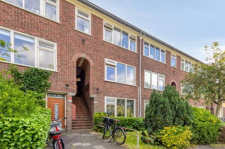 Adriaan van Ostadestraat thumbnail