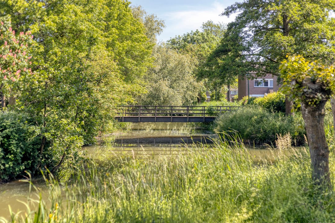 Foto 43 van Fazantenkamp 199