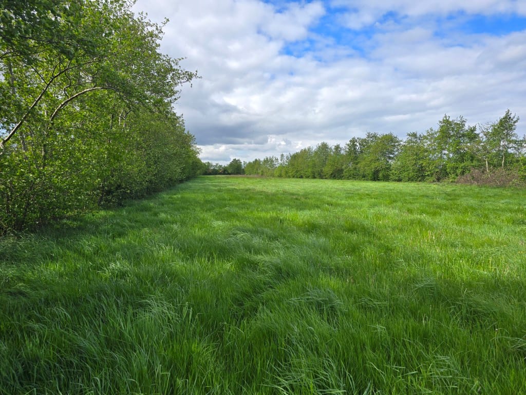 Naaldenkoperweg - Nijkerkerveen - Afbeelding 7