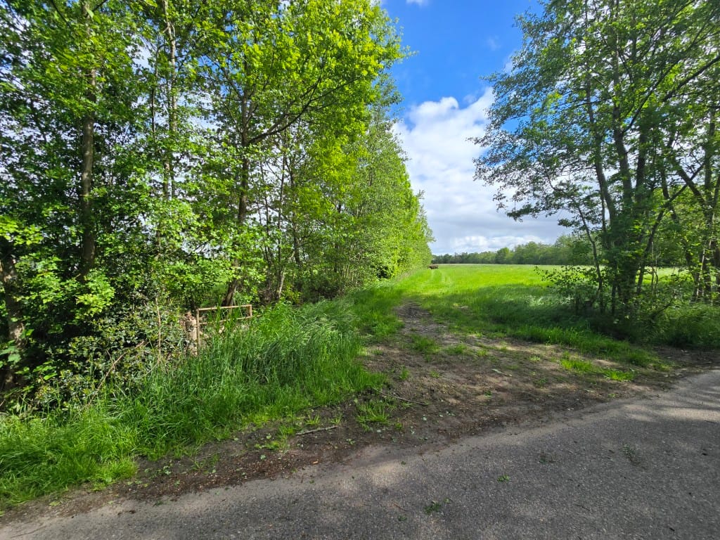 Bekijk foto 4 van Naaldenkoperweg