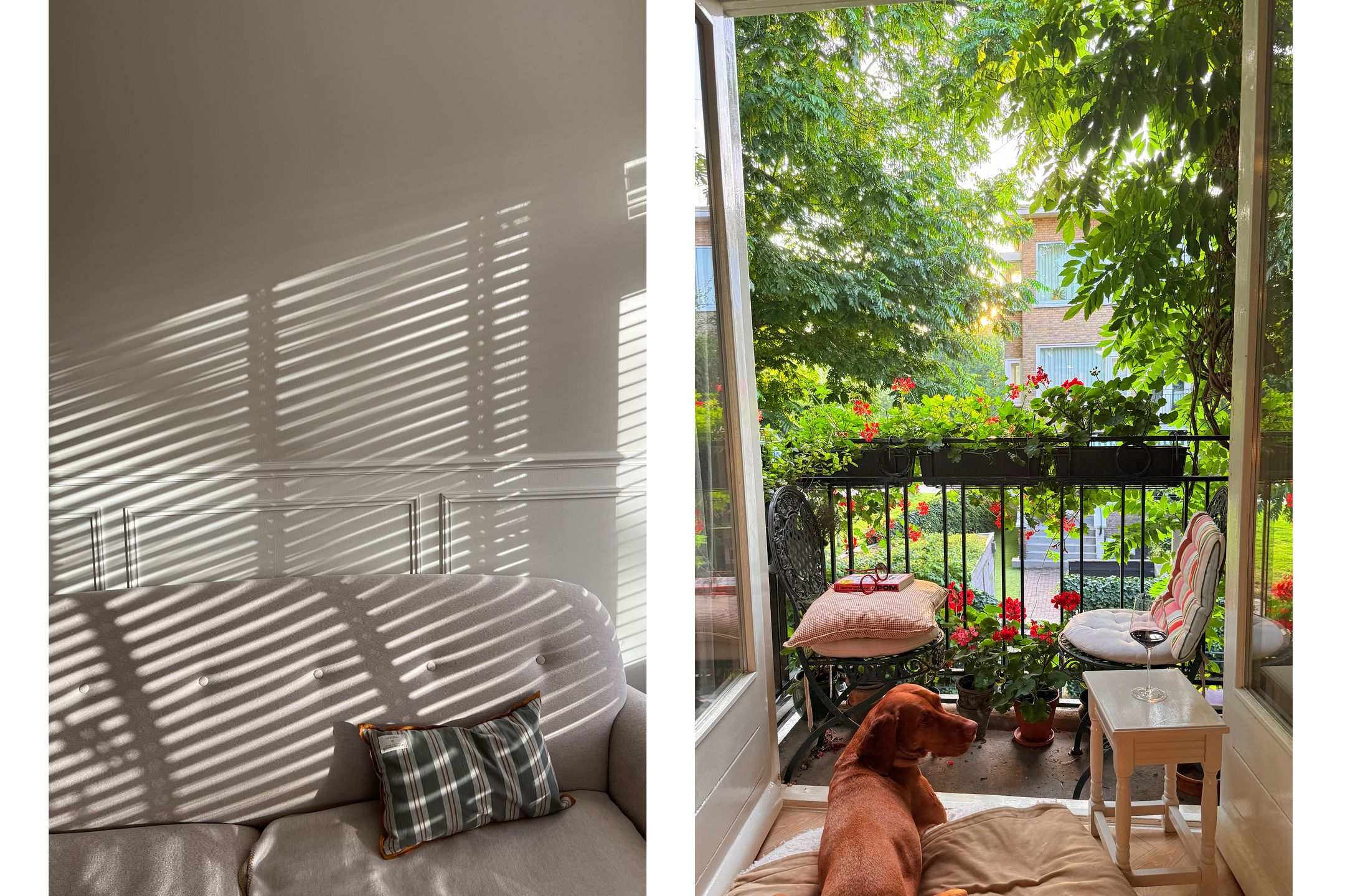 Photo 9 of Hebronstraat 14-B