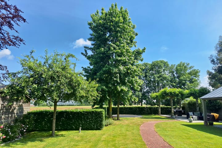 Foto 4 van Bredehof 4