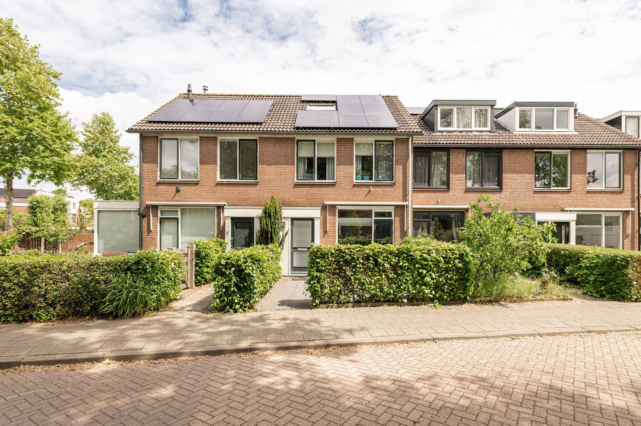 Pinksterbloem 2 