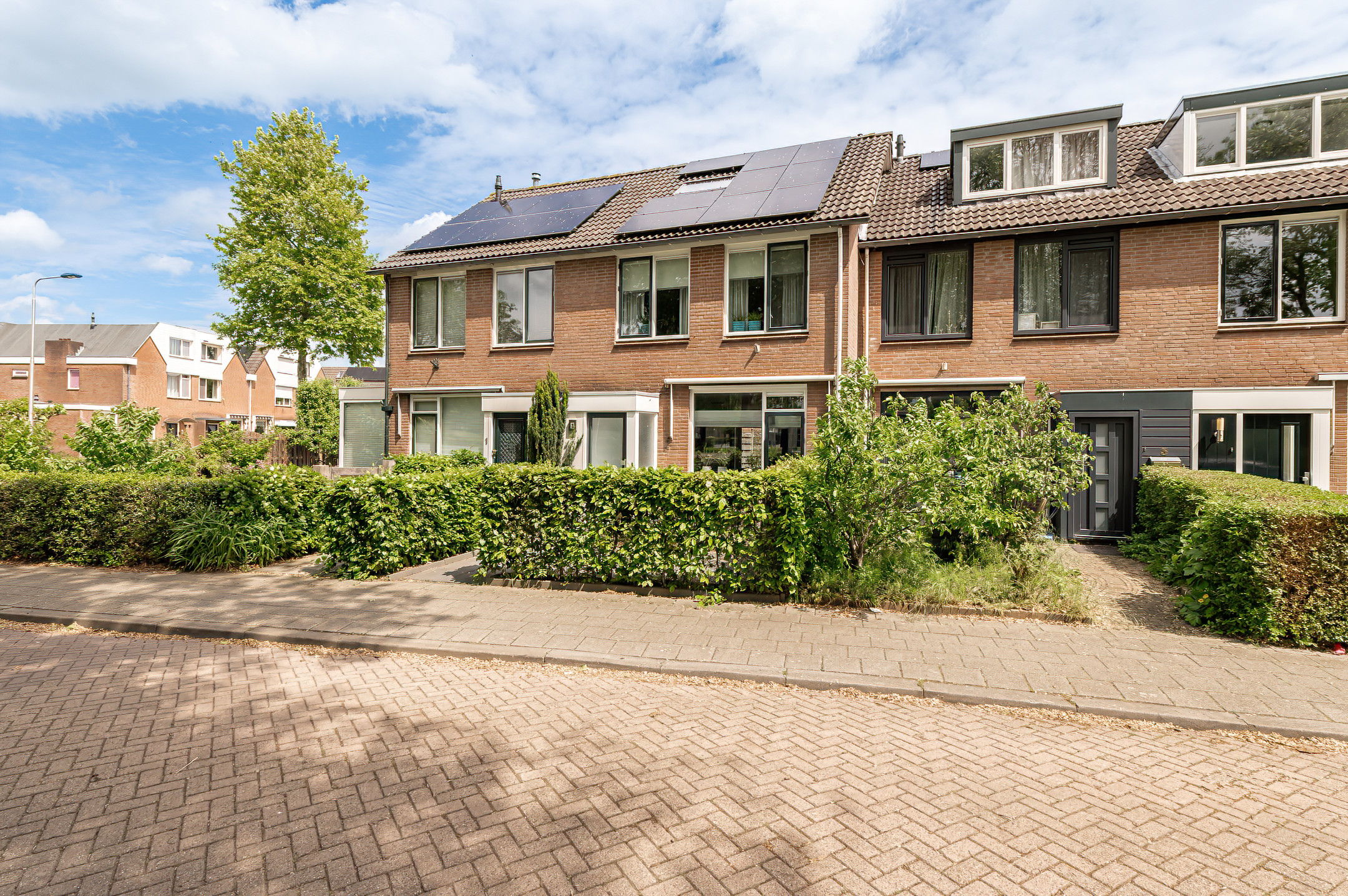 Photo 33 of Pinksterbloem 2
