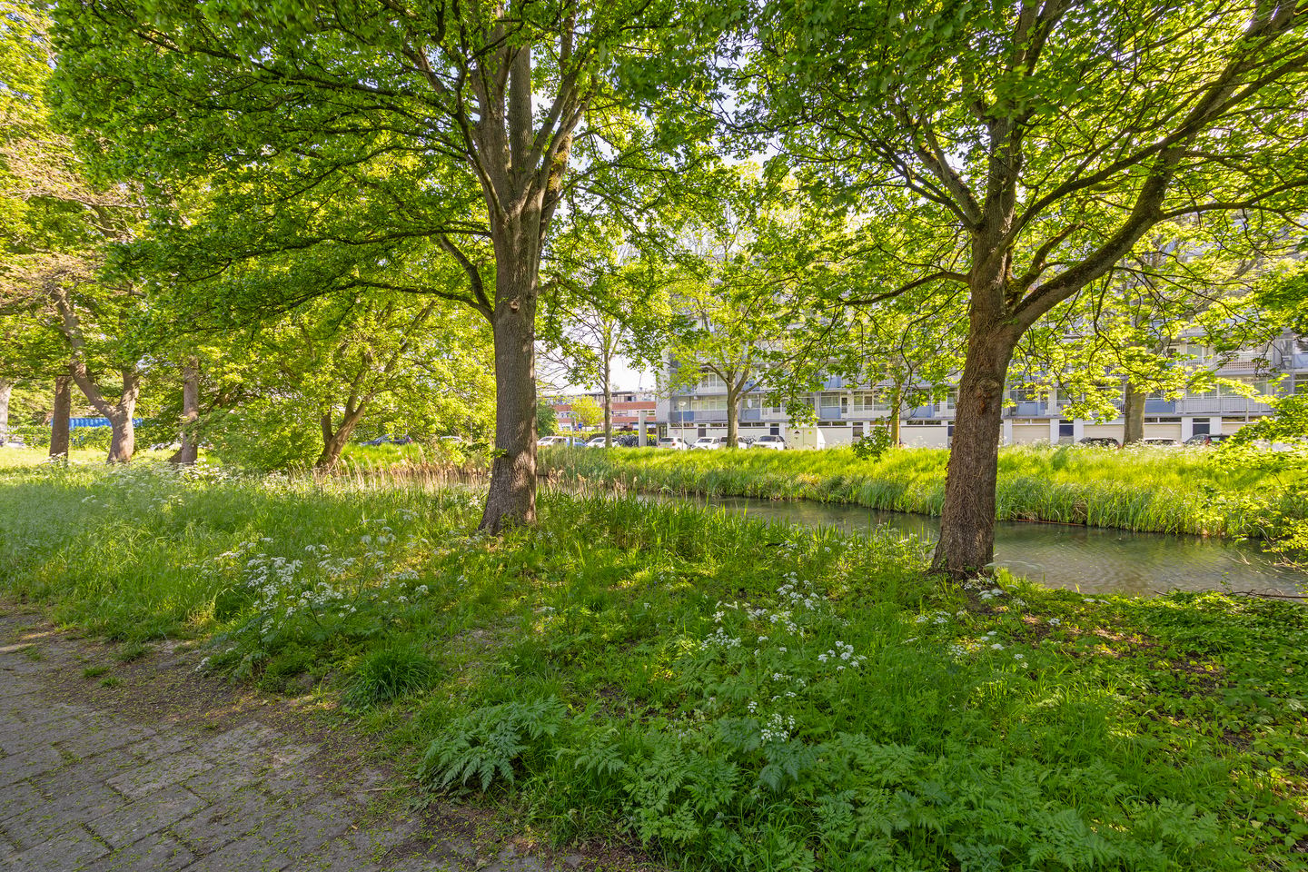 Foto 25 van Aagje Dekenlaan 23
