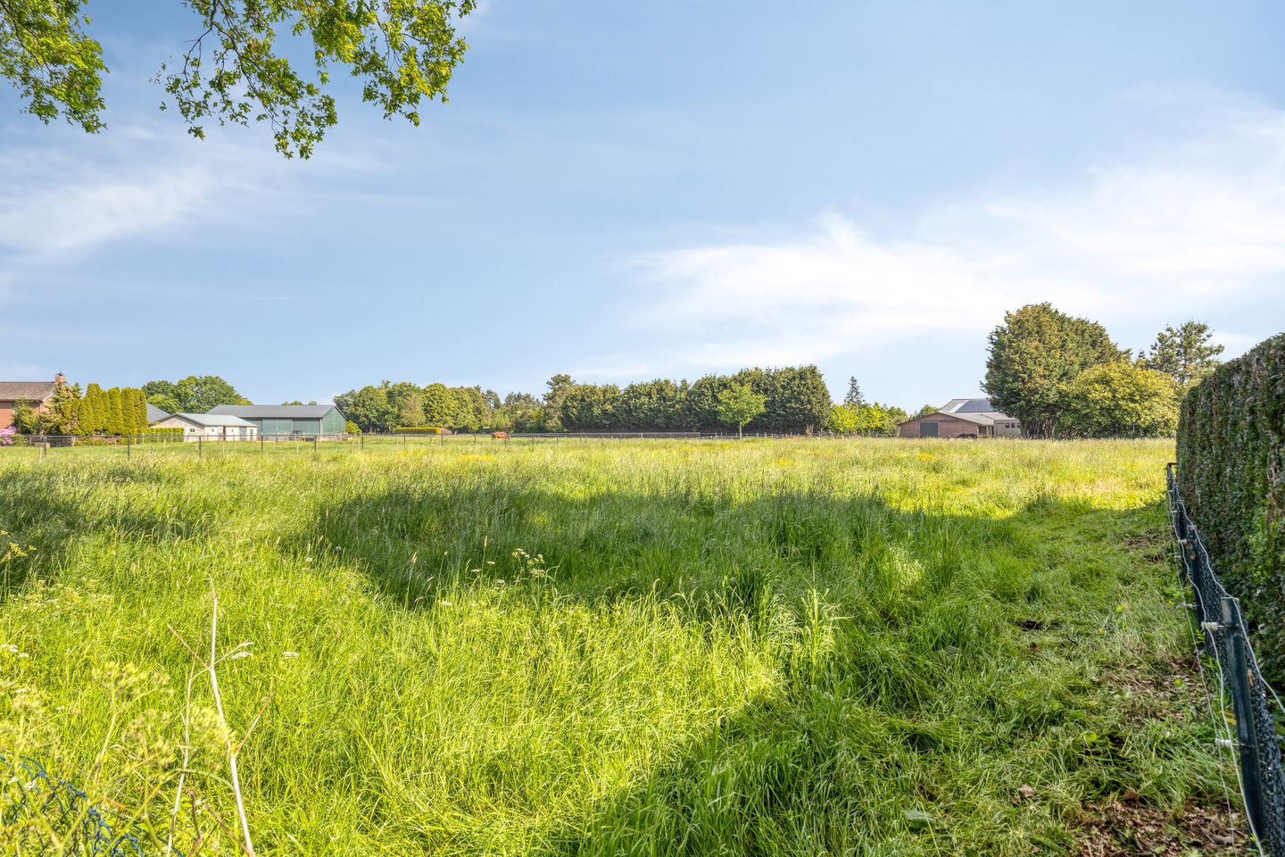 Photo 35 of Graafsedijk 6