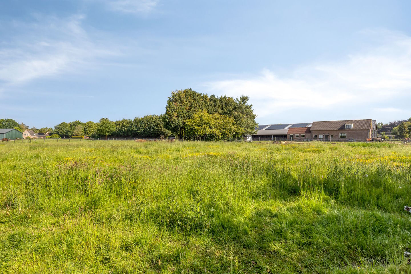 Photo 34 of Graafsedijk 6
