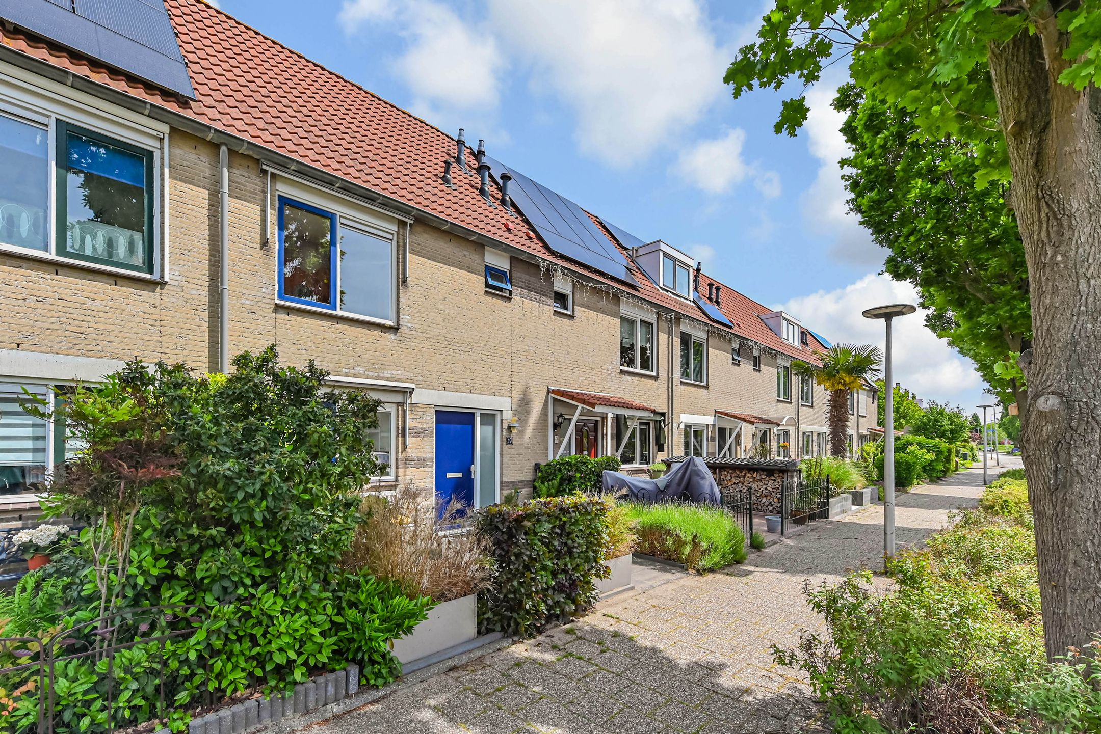 Gentiaan 19 