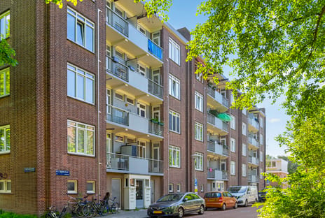 Fritz Conijnstraat thumbnail