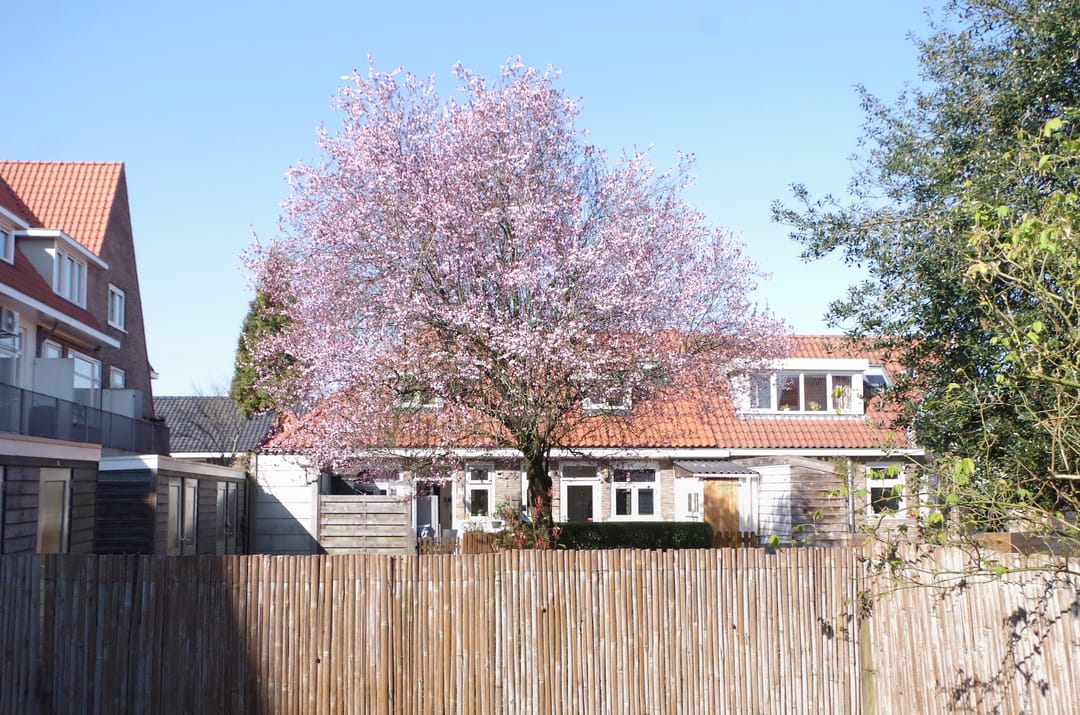 Charming 1930s Corner House with Sunny Garden in Haarlem-Noord — 11