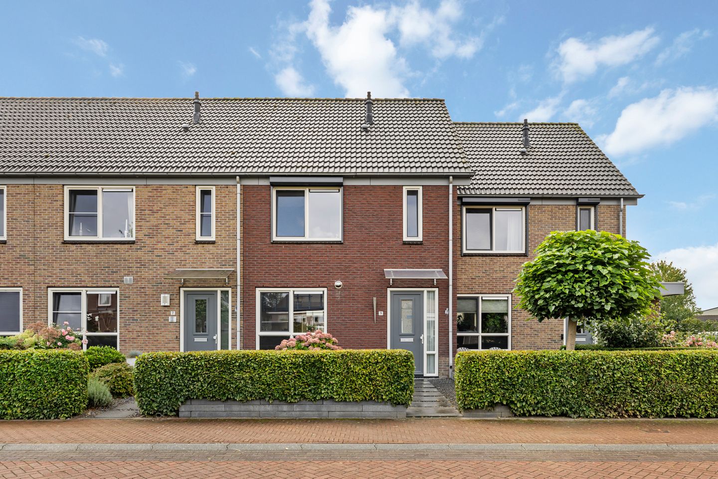 Foto 1 van Sleutelbloem 9