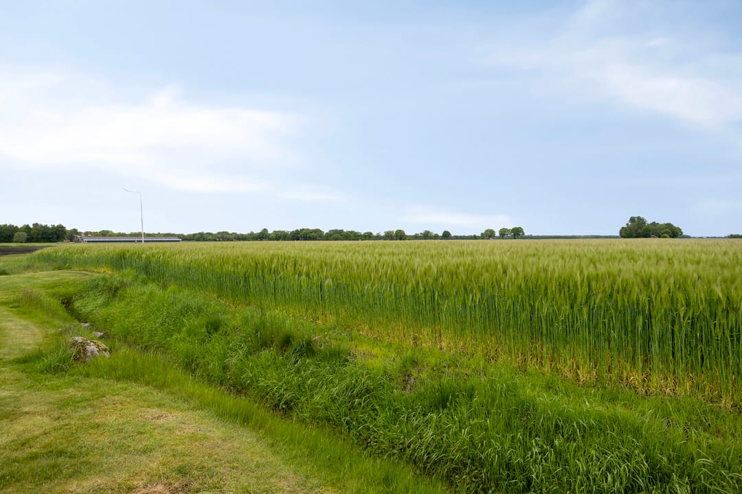Photo 68 of Scheidingsweg 9