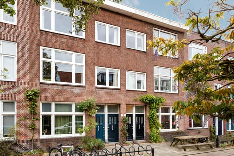 Van Alphenstraat thumbnail