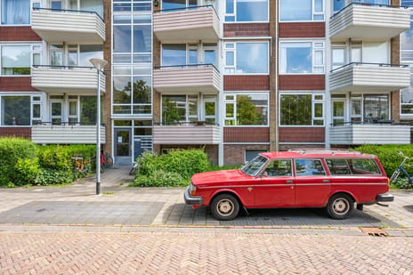 Adriaan van Ostadestraat thumbnail