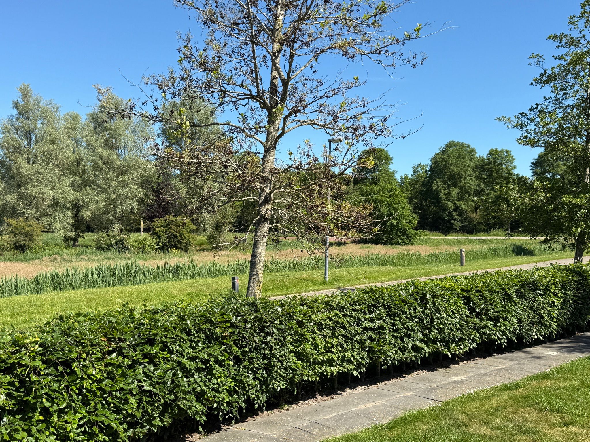 Foto 69 van De Potten 101