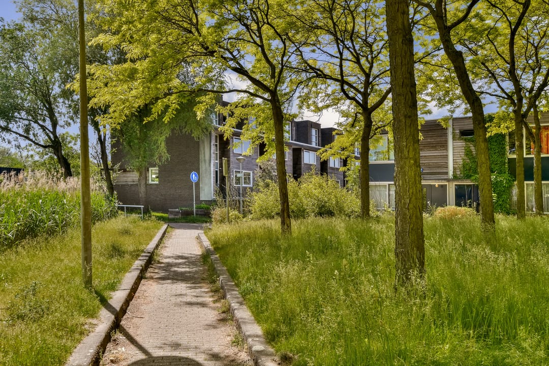 Foto 41 van Watermaalpad 5