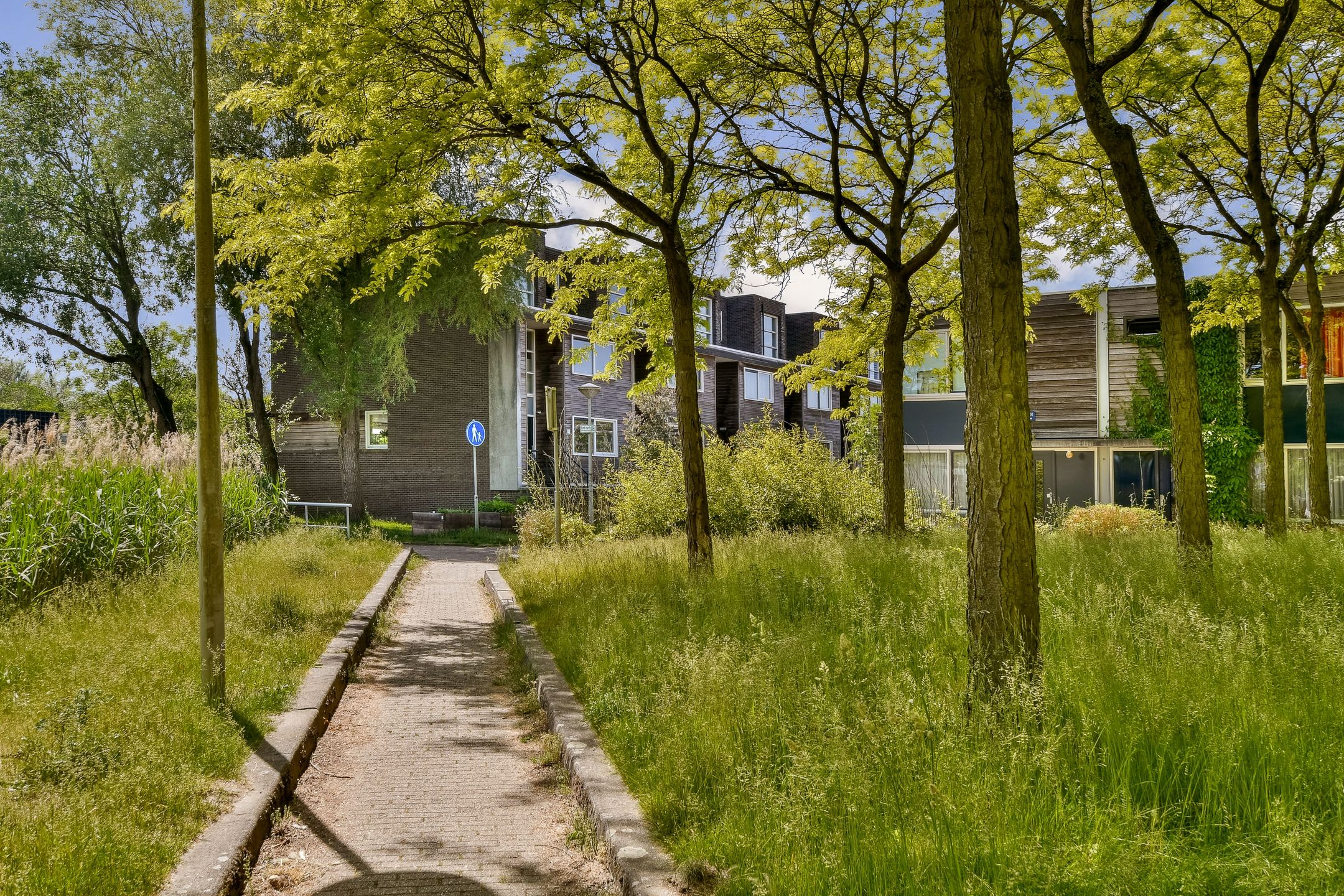 Foto 45 van Watermaalpad 5