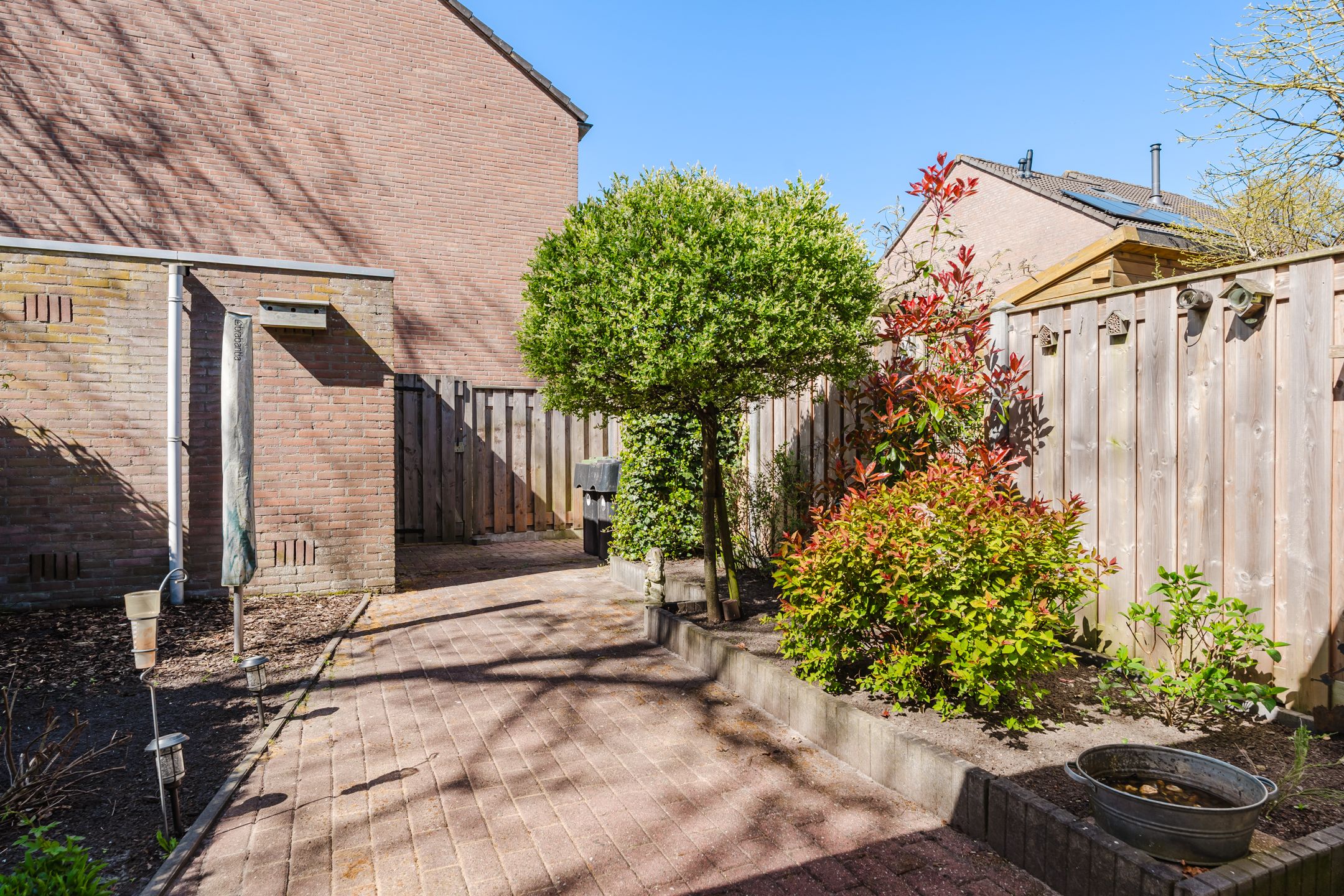 Photo 30 of Ereprijs 26