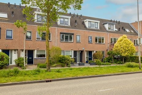 Erasmuslaan thumbnail